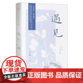 遇见 暖心作家丁立梅散文精选集之二 感悟哲理温情类的文风朴实灵动 真善美感悟哲理温情类小说现当代文学散文随笔名家名作
