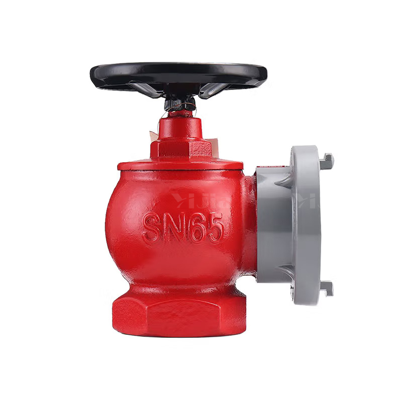 翌嘉YJ4122319 不锈钢消火栓箱室外消一体箱工具箱 700*240*1600 消防箱套装高清大图