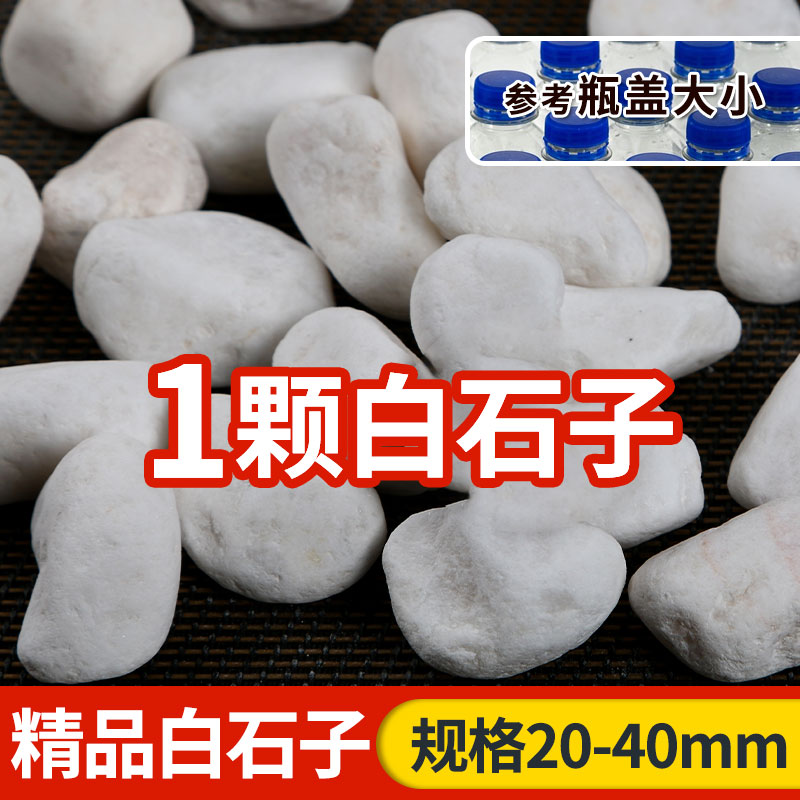 【补贴10%】天然雨花石小白石子多肉铺面盆栽花盆庭院造景装饰白色石头溪流 甜沃-精选白石子2-4cm1颗