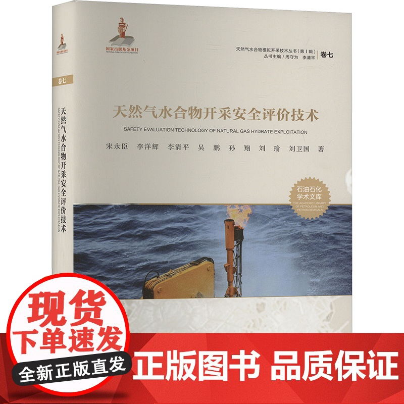 天然气水合物开采安全评价技术 宋永臣 等 著 中国石油大学出版社 能源科学 石油 天然气工业高清大图