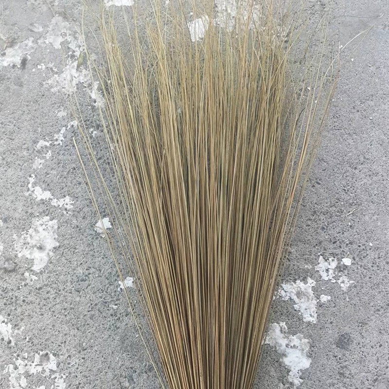 谐晟 龙骨草扫把 芨芨草扫把 油扫把扫帚 高约2米 1把高清大图