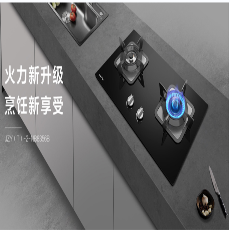 迅达(XUNDA)嵌入式双灶JZT-2-NB8356B(2022版-天然气)