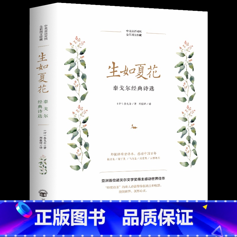 【正版】 生如夏花-泰戈尔诗选 彩色悦读馆全彩珍平装 散文诗集 泰戈尔诗歌 生如夏花之绚烂:泰戈尔诗集经典 英汉对