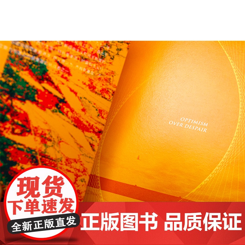 乐观而不绝望 资本主义 帝国与社会变革 诺姆·乔姆斯基 著 社会科学高清大图