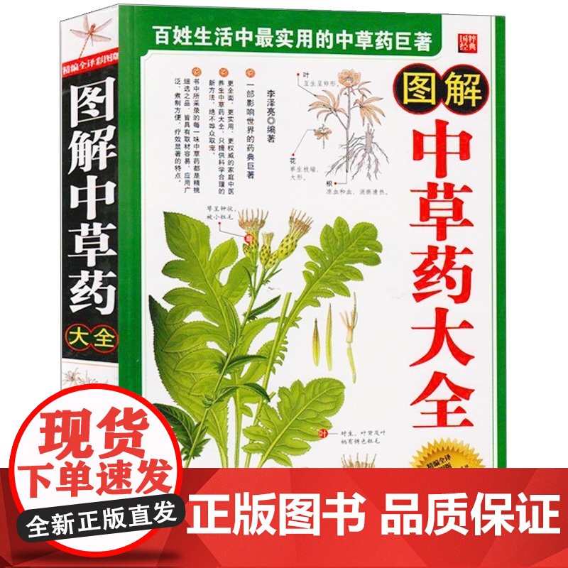 [4册]精编中草药原色图谱+图解中草药大全+图解本草纲目+图解偏方秘方大全 书籍高清大图