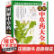 [4册]精编中草药原色图谱+图解中草药大全+图解本草纲目+图解偏方秘方大全 书籍