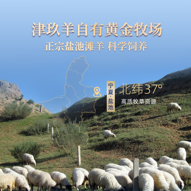 元旦春节福利慰问A高清大图