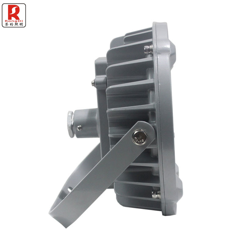 荣的RS LED泛光灯ZR8185 50W高清大图