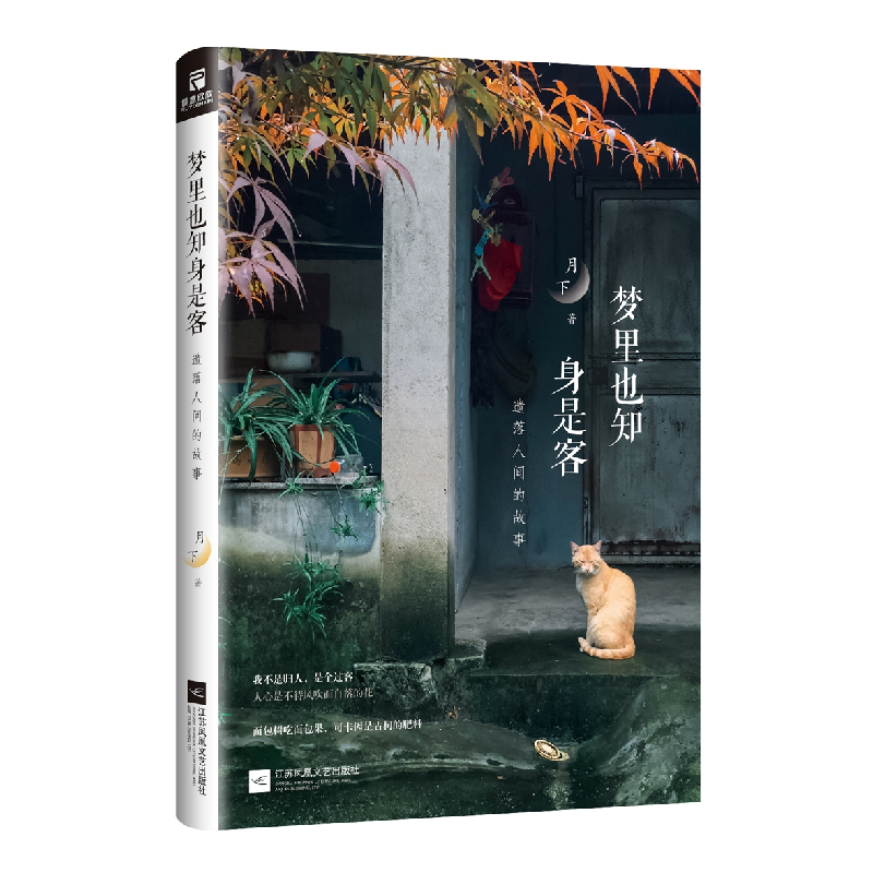 正版 梦里也知身是客:遗落人间的故事 月下著 江苏凤凰文艺出版社高清大图