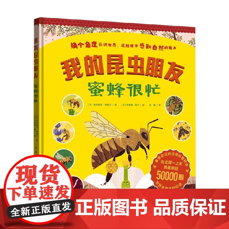 我的昆虫朋友 蜜蜂很忙 弗洛朗丝·蒂娜尔 著 科普百科高清大图