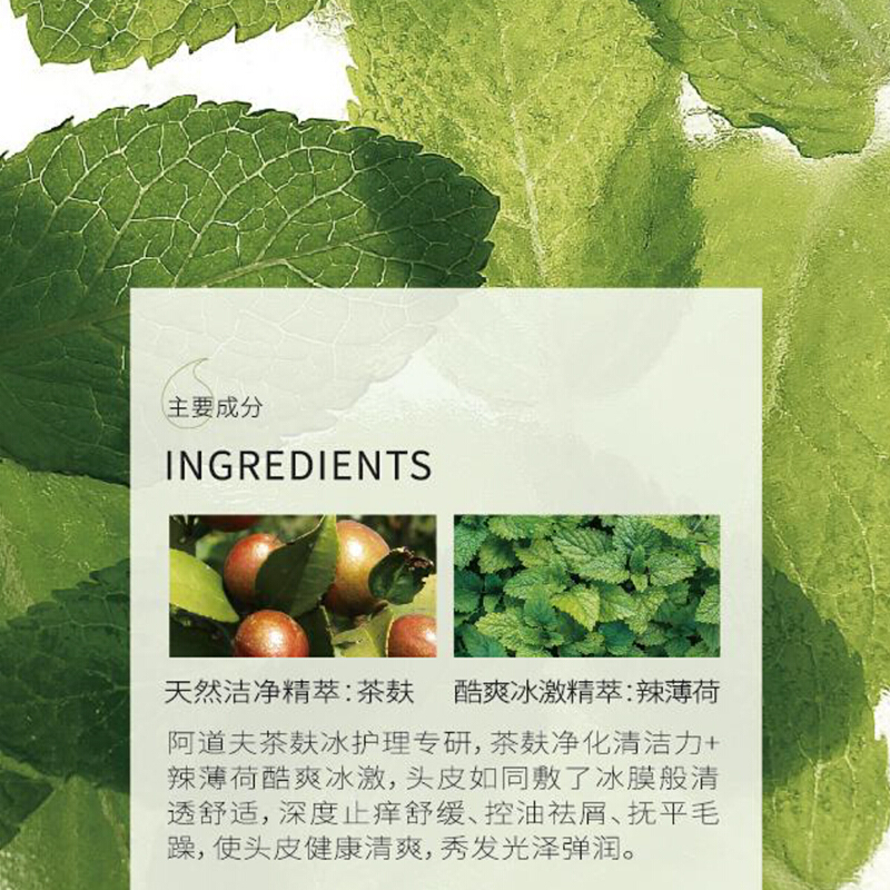 阿道夫(ADOLPH)护发素 茶麸冰护理专研焗养护发素300ml