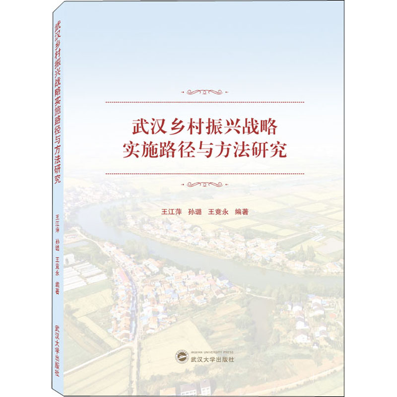 正版新书】武汉乡村振兴战略实施路径与方法研究王江萍、孙璐、王