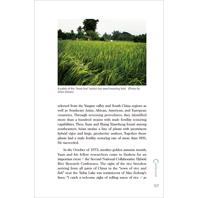 正版 Yuan Longping:the fater of hiybrid rice(新时代的中国人高清大图