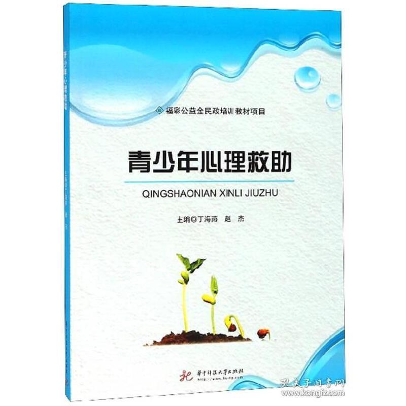 正版新书]青少年心理救助丁海燕 赵杰9787568041317高清大图