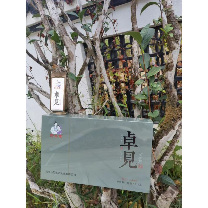 野茶君 茶叶 大红袍(卓见1级)498g