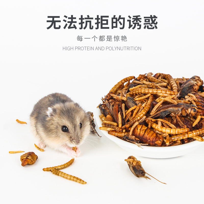 仓鼠粮食面包虫蚕蛹蟋蟀干非洲迷你刺猬零食主粮饲料食物