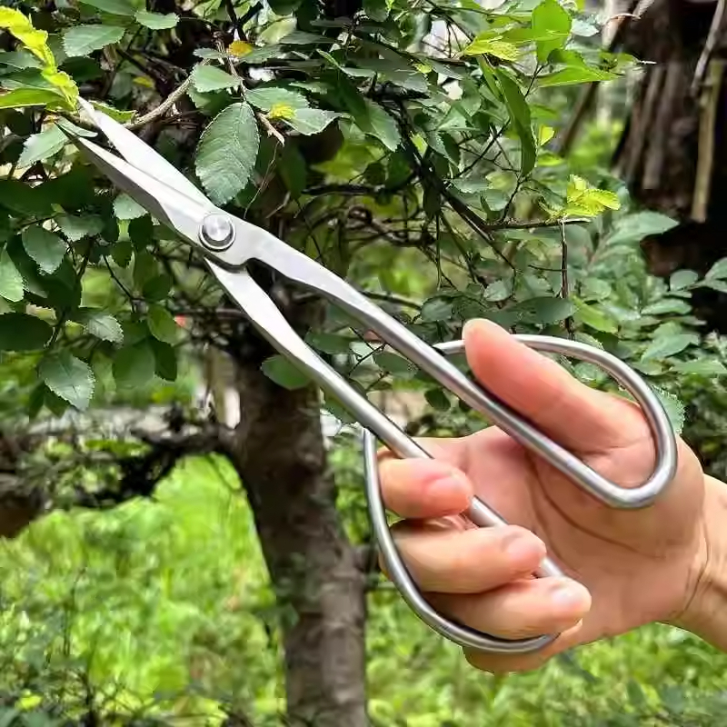 隆脉 新款全不锈钢园艺剪叶芽剪嫩芽剪刀 把