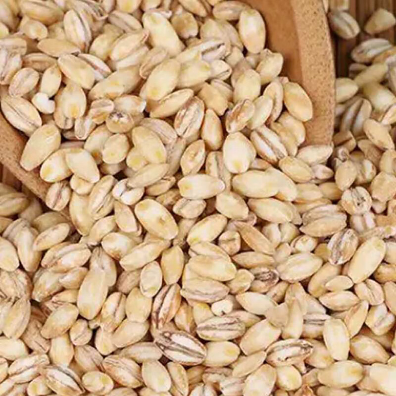 天地粮人 有机大麦米 330g*3(单位:组)高清大图