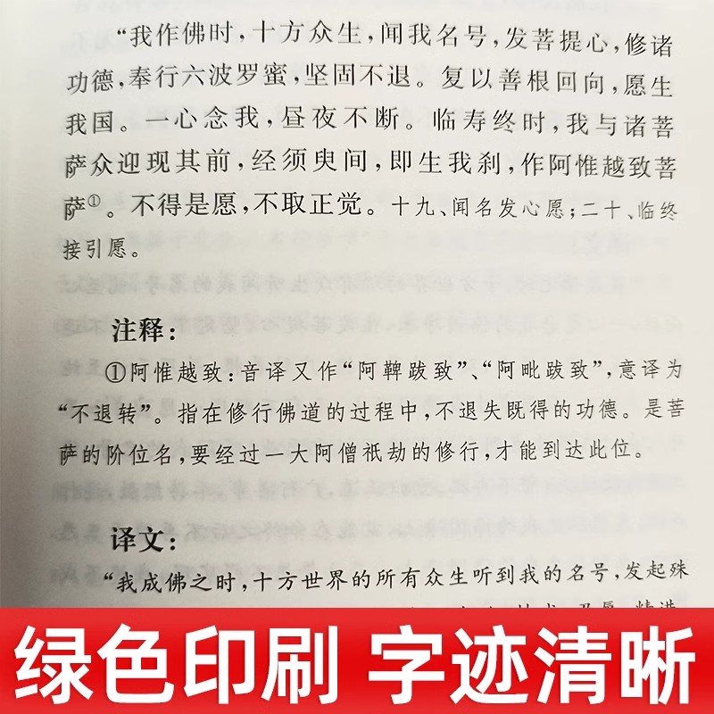 [正版]无量寿经原文注释译文 佛教十三经单本 中华书局念诵集经书佛学入门初学者书籍佛学经典修身经书 佛说大乘无量寿庄严高清大图