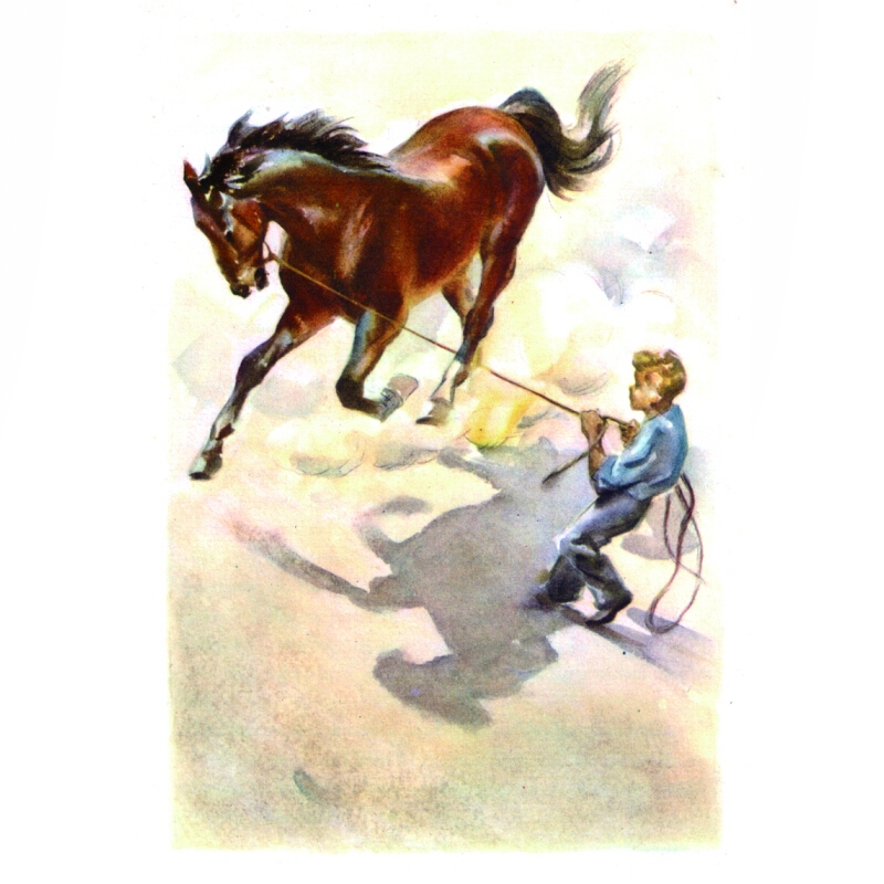 [正版]小红马 夏洛书屋美绘版 约翰斯坦贝克 美国知名插画家绘 儿童故事书 成长小说 少儿读物 儿童文学 精装 上海译文高清大图