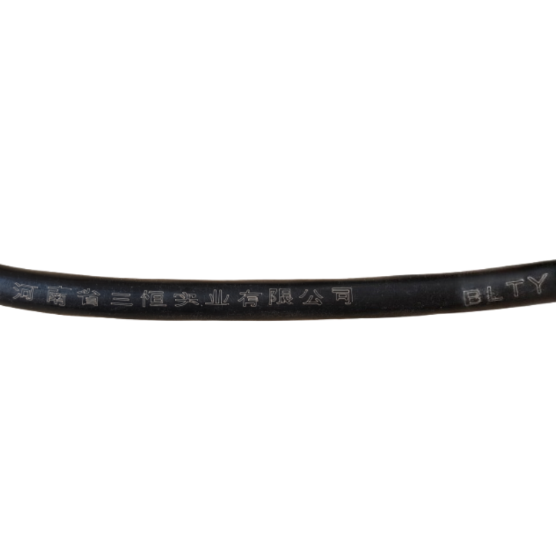 三恒 铝芯电线BLTY 10mm²×100m 卷高清大图