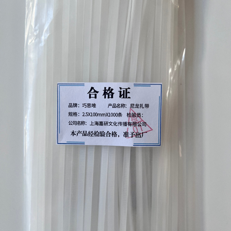 巧思唯 尼龙扎带 2.5*100mm*1000条 包