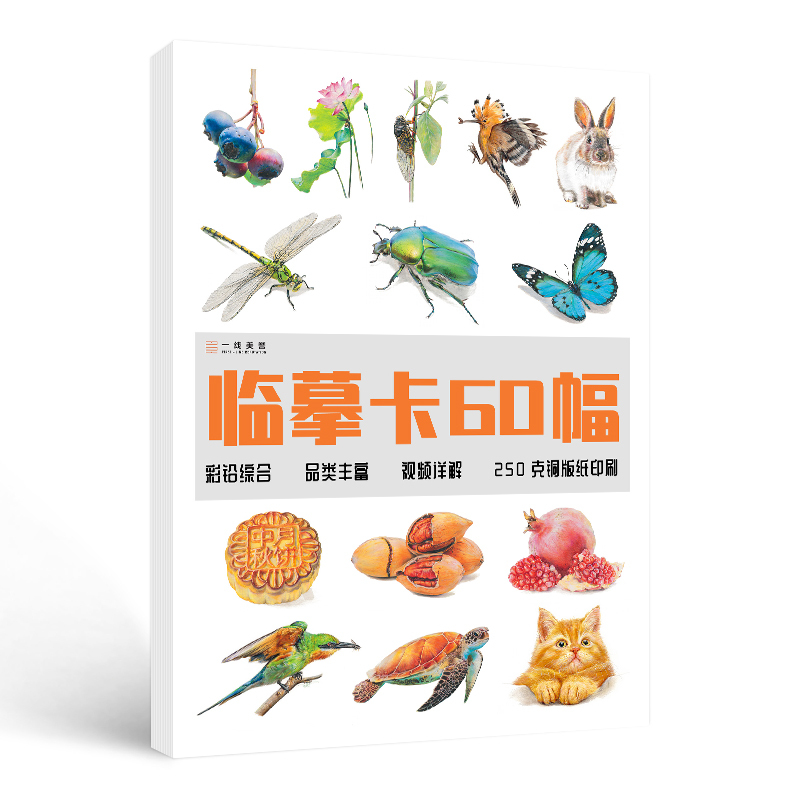 [正版]彩铅临摹卡综合篇60幅 一线美誉步骤对应视频详解美术绘画卡片兴趣高清原创
