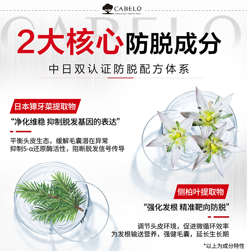 卡蓓诺(CABELO)防脱洗发水旅行装50ml*2支 日本原装进口高清大图