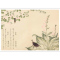 [正版]出类艺术明信片 小院庭芜绿 日本画浮世绘艺术作品山水画创意生日贺卡唯美日系古风草木插画集明信片风景