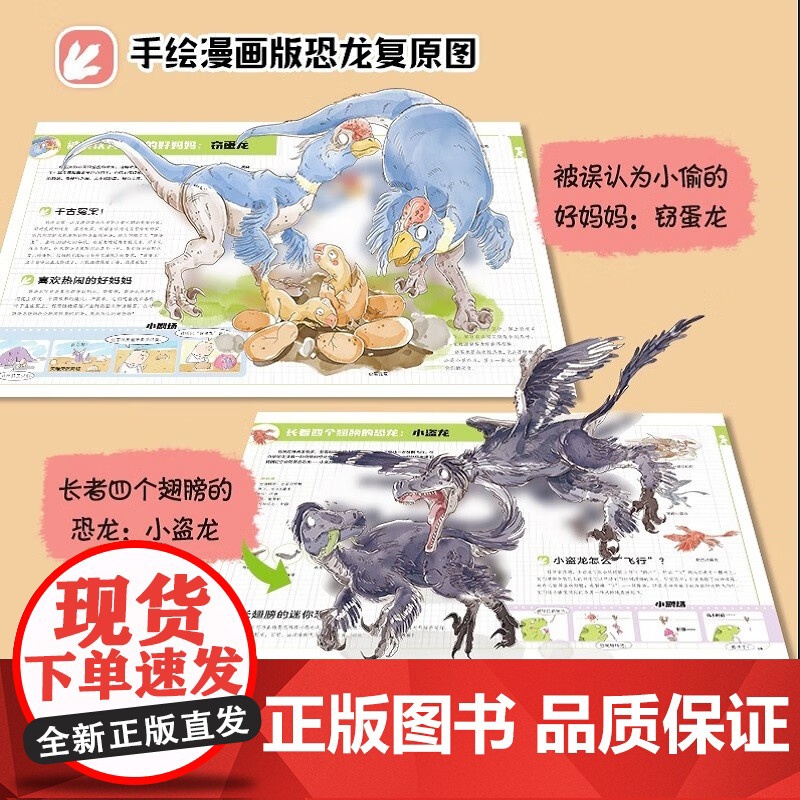 漫画万物这就是恐龙 7岁+ 爆糖童书等 著 科普百科高清大图