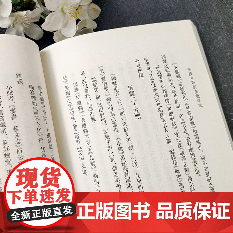 汉魏六朝赋摘艳谱说 繁体竖版中国魏晋南北朝时代赋学选本诗词歌赋评论研究鉴赏解析批评文学理论资料集合正版书籍浙江古籍出版社高清大图