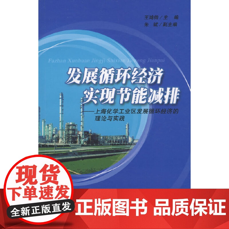 发展循环经济 实现节能减排——上海化学工 王鸿钧 华东理工大学出版社 正版书籍高清大图