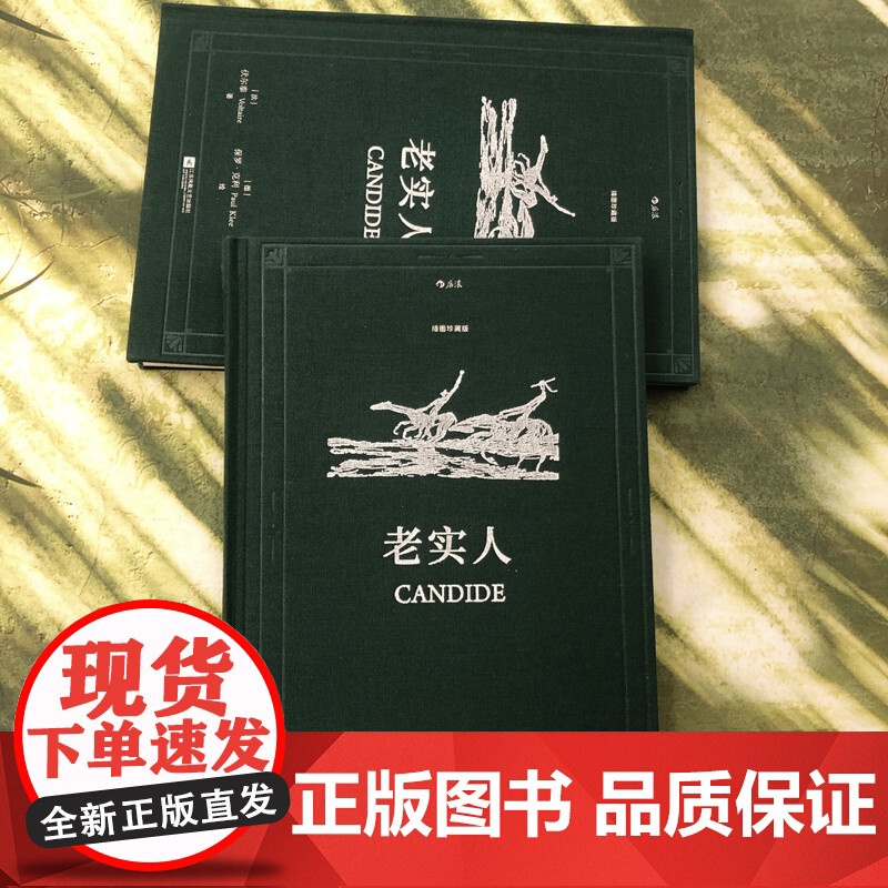 老实人 伏尔泰 傅雷翻译 后浪插图经典系列,名家名译名画 收录传世插画,精心打磨译本 正版书籍高清大图