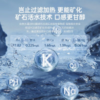 西屋(Westinghouse)家用RO反渗透净水器即热净饮水机矿化台式免安装直饮机桌面饮水机 WFH-C5曼哈顿版灰色