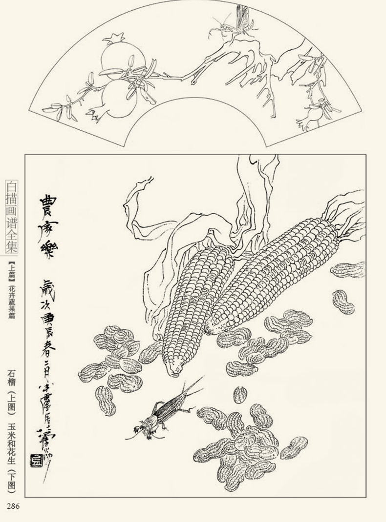 [醉染正版]2021沐尚文化白描画谱全集上篇花卉蔬果 美术名家底稿绘画中国画工笔画零基础入门教程生活兴趣书籍教学材手绘临高清大图