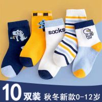 儿童袜子男童女童秋冬季保暖中筒棉袜小孩婴儿袜_259 【XL】建议9-12岁 【10双装】恐龙小怪兽