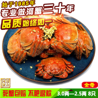盘锦河蟹 刘力河蟹稻田蟹 盘锦野生鲜活大河蟹 全母3.0-2.5两 8只 大闸蟹礼盒 个个保肥 不肥退款 死蟹包赔