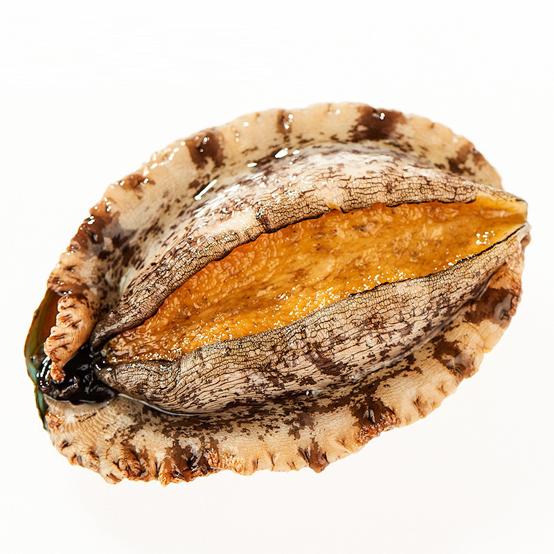 海洋岛HAIYANGDAO 鲍鱼6只(300g)+生蚝6只(1000g) 约1300g国产大连海鲜水产礼盒 礼盒装