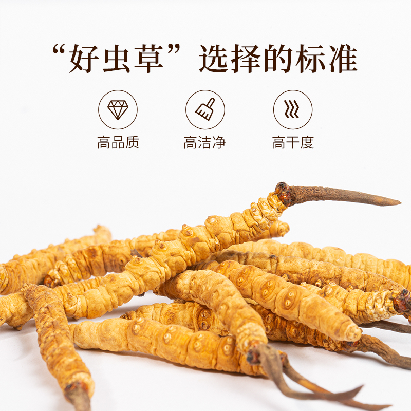 秦仁堂冬虫夏草3根/克 冬虫草正品干货 1克盒装