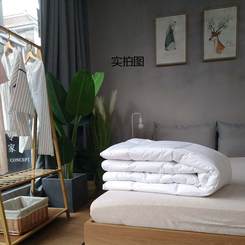 洛菲源 全棉133*100包布床褥垫 加厚床上保护垫120*200cm 条高清大图