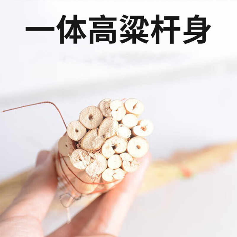 璐盐 扫帚扫把 LY-SZ 把高清大图