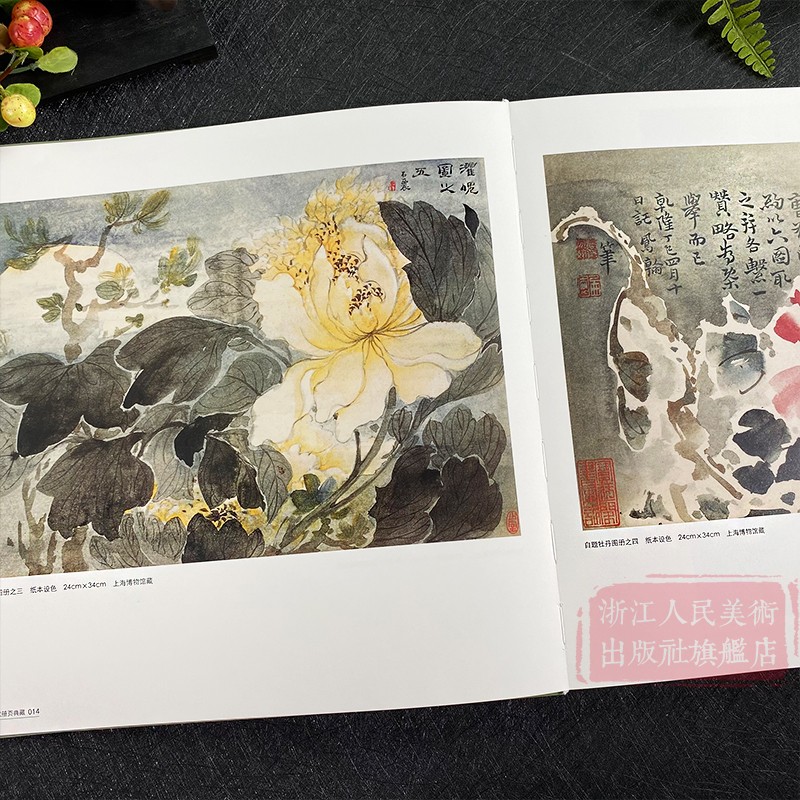 [正版]清代传世经典册页(下卷)-中国画名家册页典藏 高凤翰/虚谷/任颐/金农/李鱓 147幅经典中国画花鸟花卉山水人高清大图