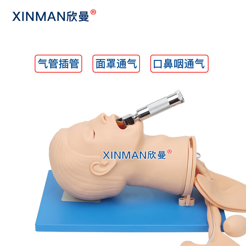 欣曼科教 高级全功能气道管理模型 高级气道管理模拟人XM-QD11高清大图