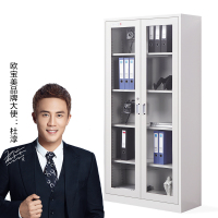 欧宝美文件柜钢制铁皮资料档案储存柜通玻柜 H1800*W 850*D 390