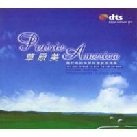 DTS-ES5.1多声道环绕音乐歌曲原美 DTS CD 试音碟 T157