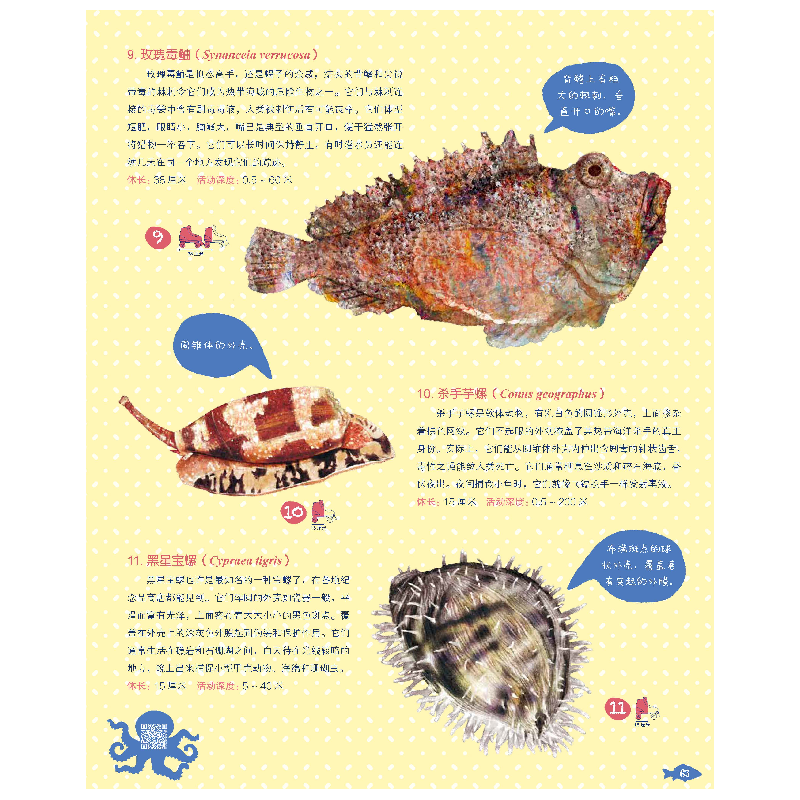 正版新书]海洋世界(意)切萨雷·德拉皮耶塔9787514389425高清大图