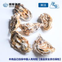 【鲜活到家】wecook味库鲜活乳山生蚝 海蛎烧烤食材 净4斤装190-140g/只