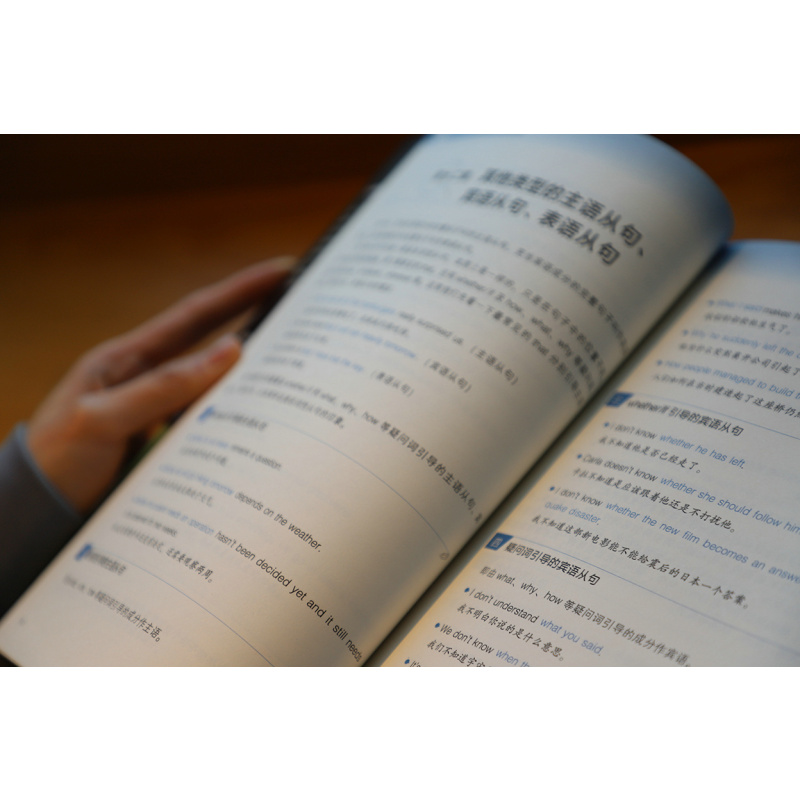 [正版]逻辑英语900句:英文句法进阶演练英语语法句式有道精品轻松学语法学习钟平编著从理解到应用一本全掌握教程从入门到