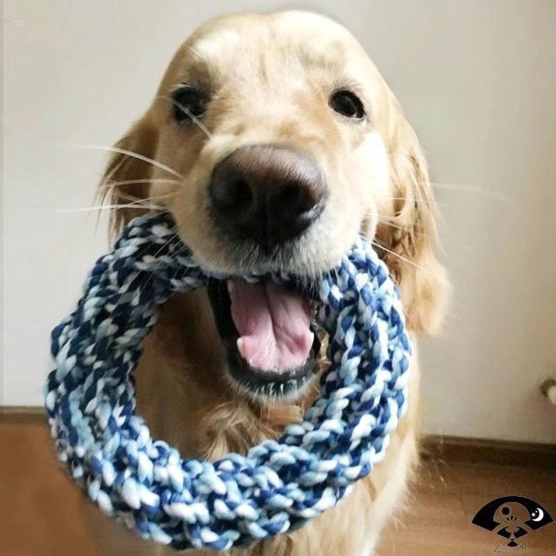 玩具狗咬绳金毛拉布拉多大狗玩具磨牙咬绳一个(中大犬)30cm>800_800