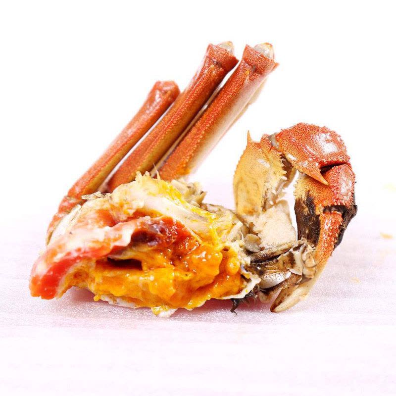 8只送2只!澄湖之心大闸蟹 鲜活公螃蟹4.0-3.5两 母螃蟹3.0-2.5两 5对10只图片